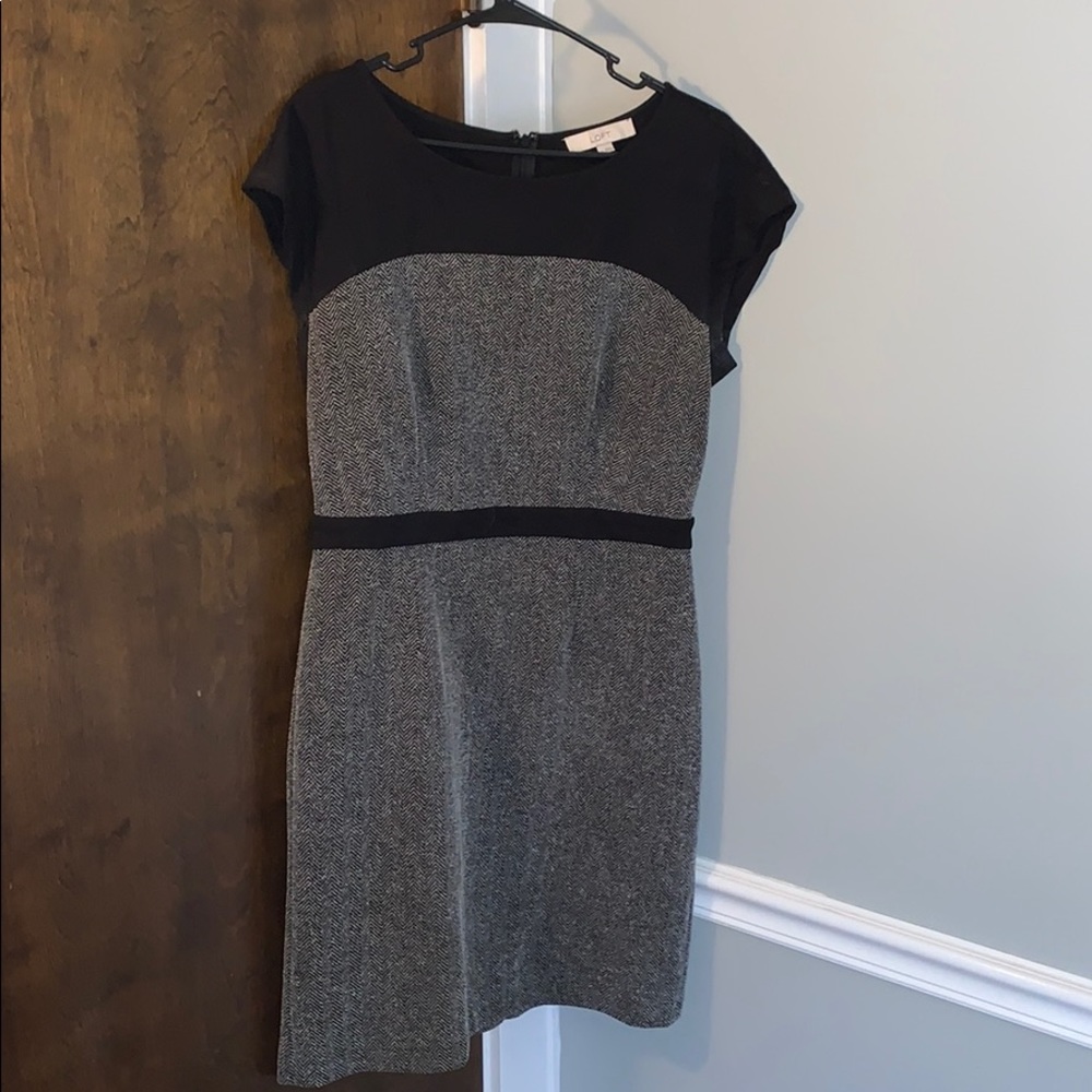 Ann Taylor LOFT dress. Zippered back
